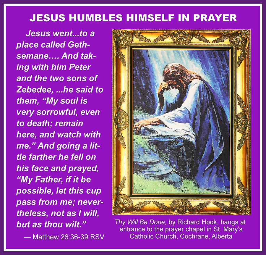 Text: Then Jesus went … to a place called Gethsemane … And taking with him Peter and the two sons of Zebedee, … he said to them, “My soul is very sorrowful, even to death; remain here, and watch with me.” And going a little farther he fell on his face and prayed, “My Father, if it be possible, let this cup pass from me; nevertheless, not as I will, but as thou wilt.” Picture: Jesus in profile kneeling in prayer at a rock on a grassy slope. Caption: Thy Will Be Done, by Richard Hook, hangs at entrance to the prayer chapel in St. Mary's Catholic Church, Cochrane, Alberta